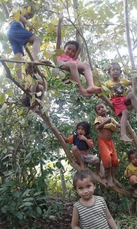 Đất chính chủ 1050m² mặt tiền Tăng Ju, Ea H'Leo - Giá siêu hấp dẫn chỉ 10.445 tỷ!