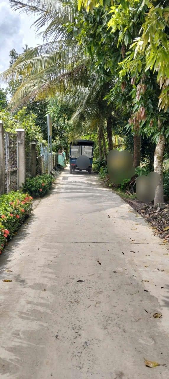 Đất thổ cư 203m² tại Vị Đông, Vị Thủy - Giá 450 triệu, cơ hội đầu tư tốt!