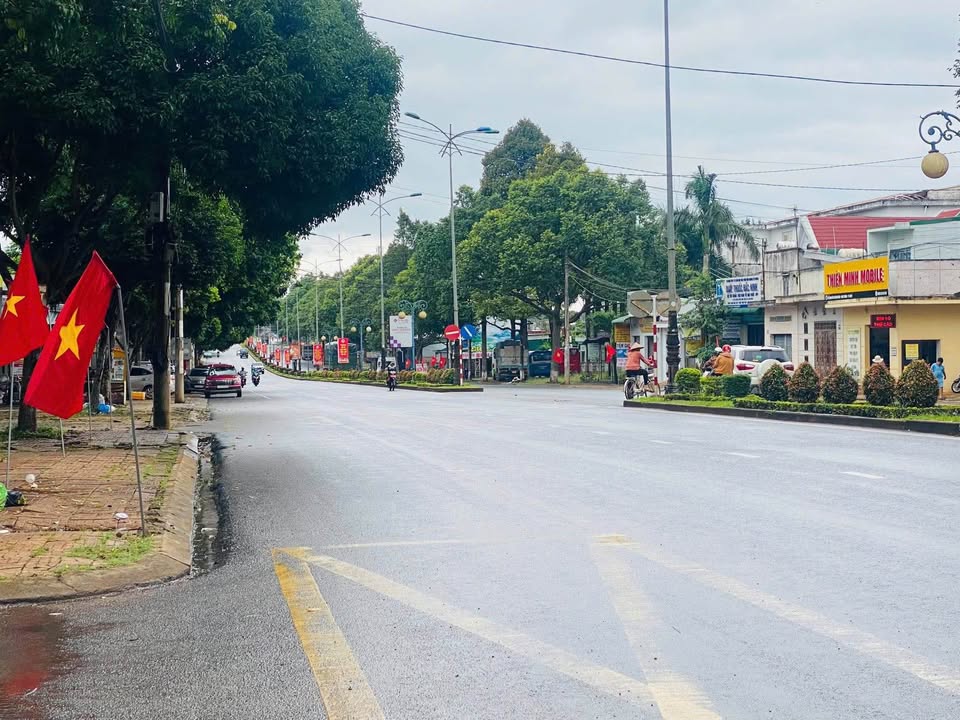 Đất nền mặt tiền Nguyễn Lương Bằng, Tân Lập, Buôn Ma Thuột 387m² giá 10 tỷ - Vị trí đắc địa cho đầu tư!