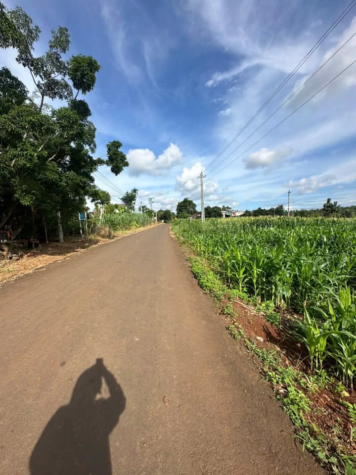 Lô đất mặt tiền đường lớn tại xã Ea M'Róh, Cư M'gar, Đắk Lắk - Chỉ 320 triệu!