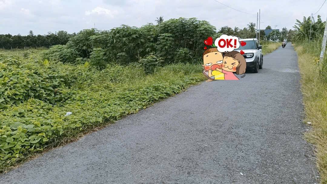 Đất nền Hòa Phú Vĩnh Long 540m² giá 1.62 tỷ - Mặt bằng cao ráo, giao thông thuận lợi!