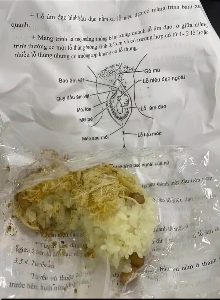 Đất nền 16m² mặt đường Ao Vua, xã Suối Hai - Sổ đỏ chính chủ, giá thỏa thuận!