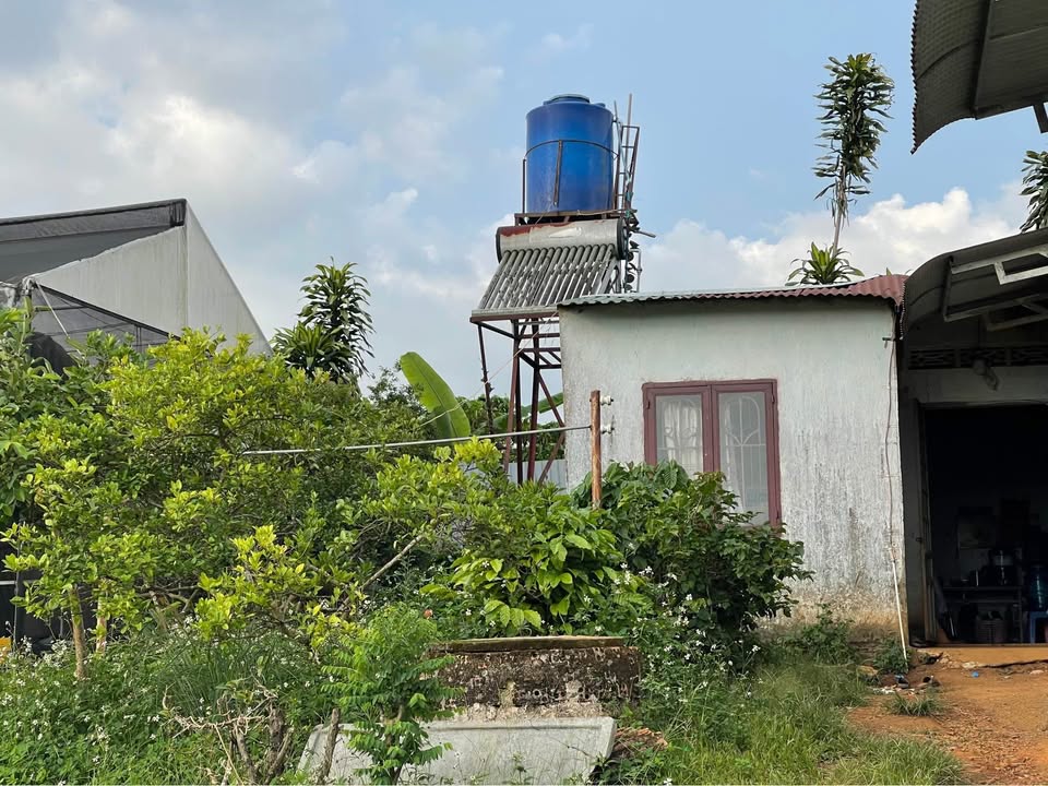 Đất nền 1014m² Phan Đình Phùng, Bảo Lộc - Giá 5 tỷ, vị trí đẹp!