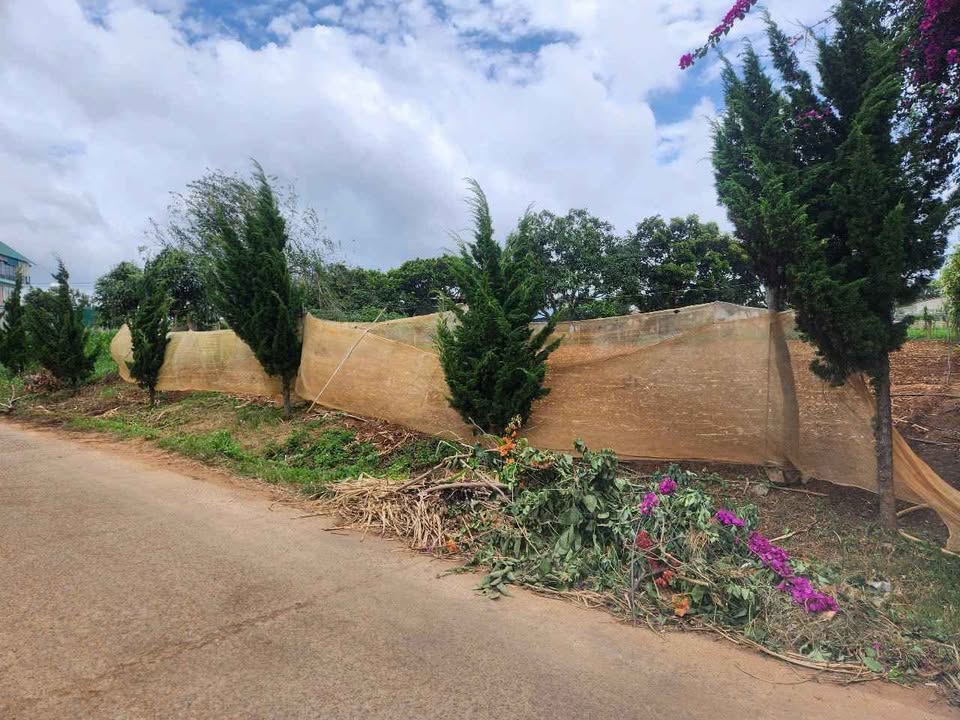 Đất nền xã Quảng Lập Đơn Dương 853m² giá 3 tỷ - Cơ hội đầu tư hấp dẫn!