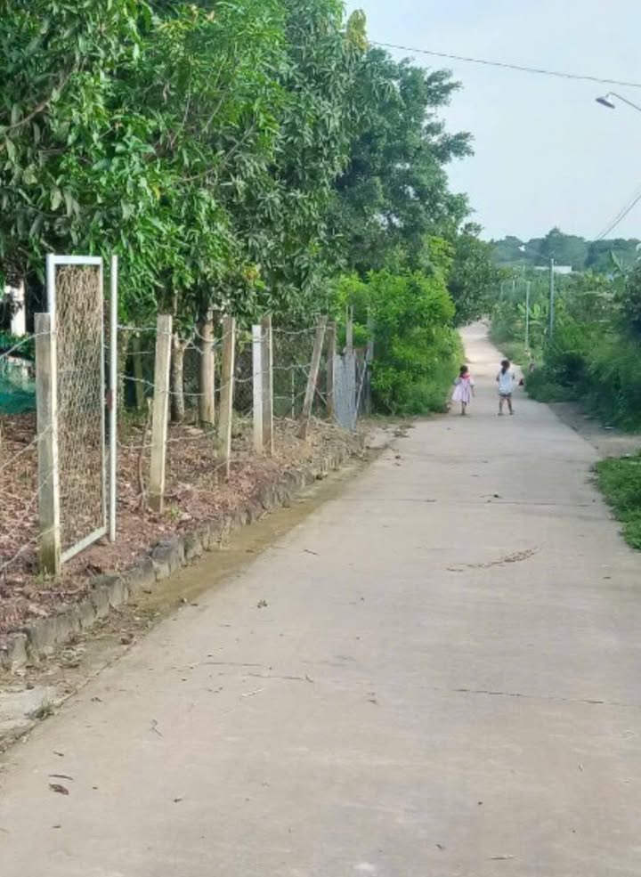 Đất thổ cư mặt tiền đường bê tông Phú Ngọc 240m² giá 800 triệu - Sổ đỏ chính chủ!