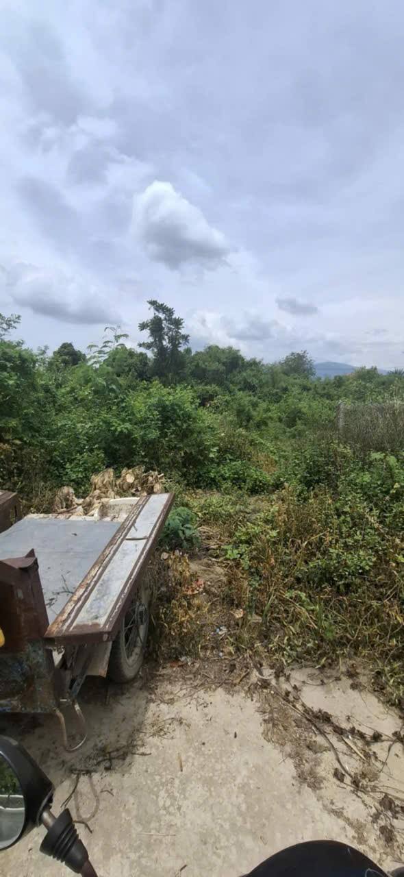 Đất nền Diên Hòa, Diên Khánh 799m² giá 3.5 tỷ - Đầu tư sinh lời mạnh mẽ!