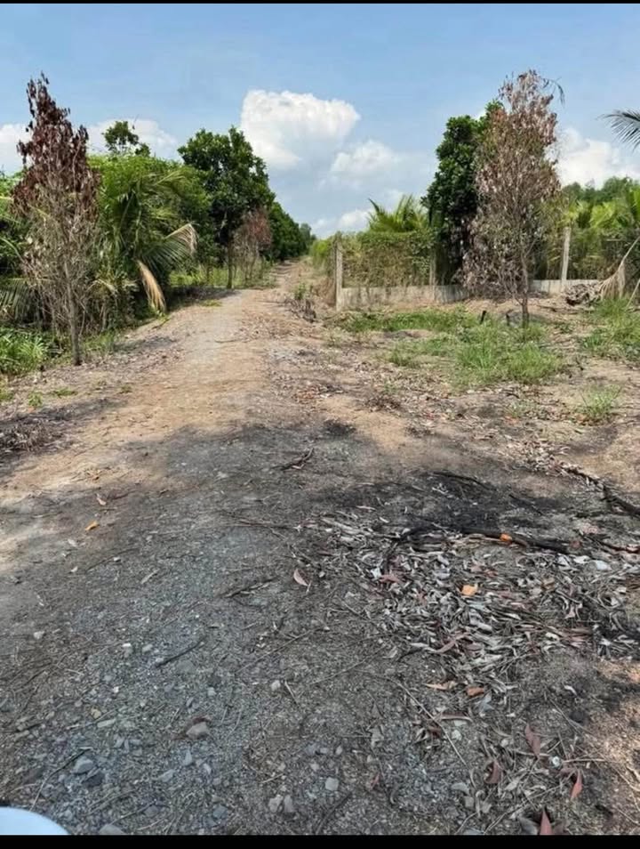 Đất vườn ấp 2, xã Thạnh Lợi, 11,400m² giá 741 triệu - Đầu tư sinh lời nhanh!