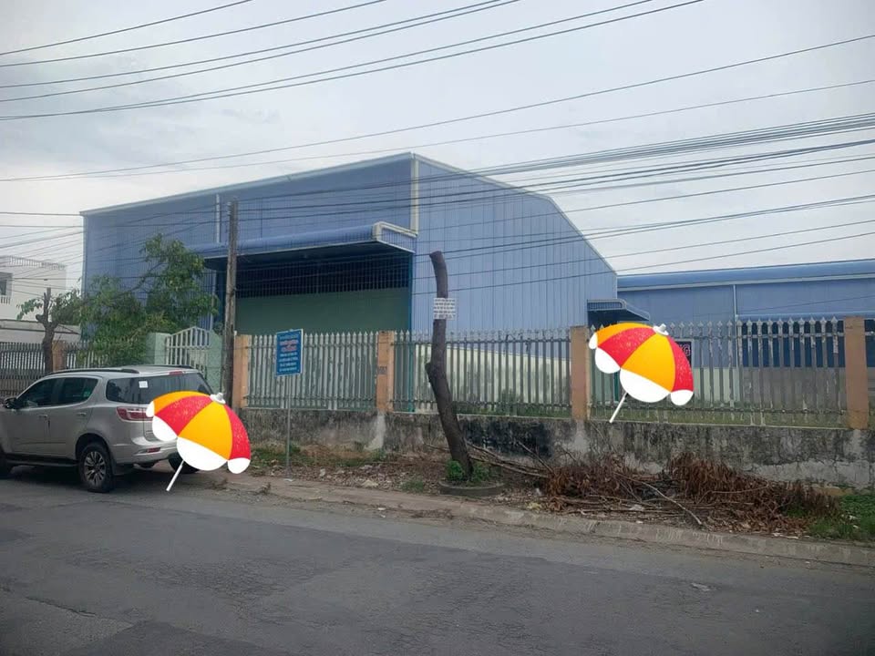 Kho xưởng 3000m² đường Trần Văn Đấu, Tân Khánh - Cần bán gấp giá 36 tỷ!