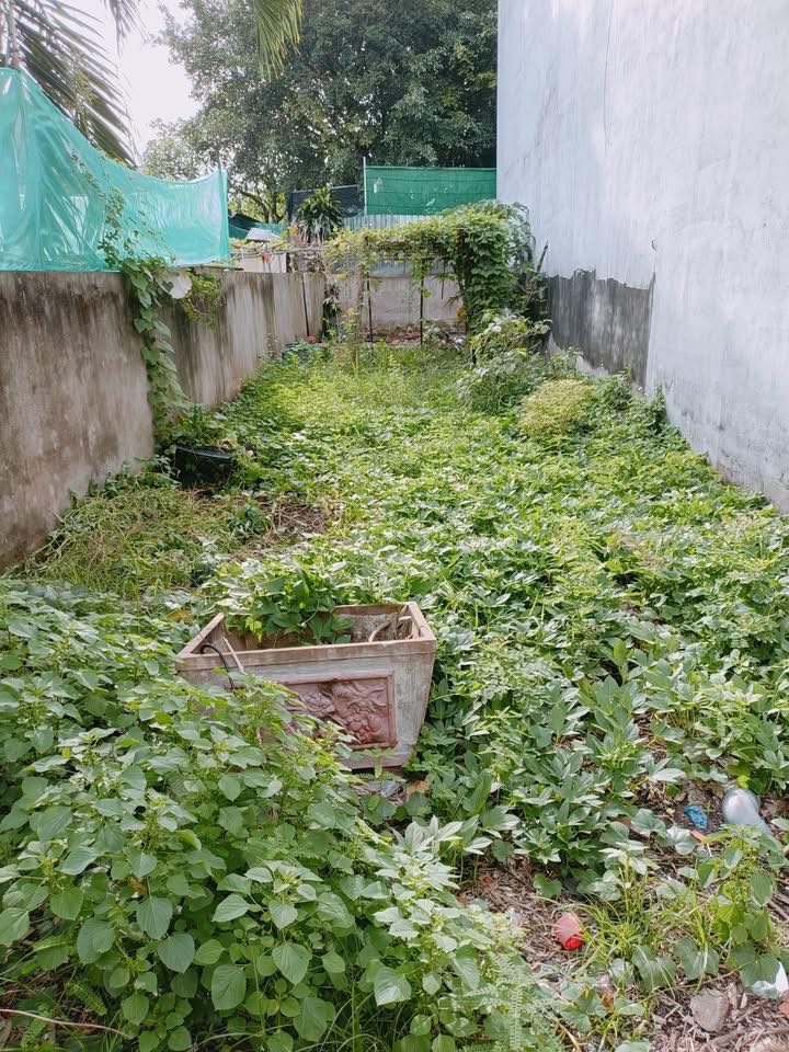 Đất Sổ hồng riêng Hóc Môn 80m² giá 3.4 tỷ - Xây dựng tự do, vị trí đắc địa!