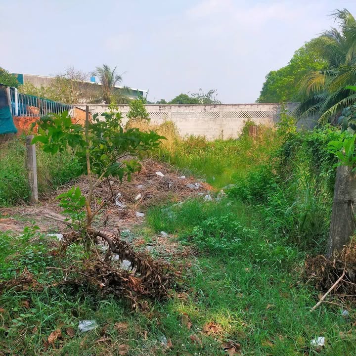 Đất thổ cư 100m² mặt tiền Suối Lội, Củ Chi - Giá 3.15 tỷ, đầu tư sinh lời!