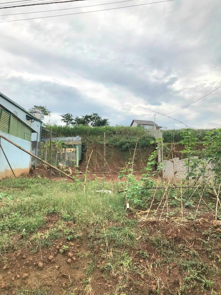 Đất mặt tiền Phó Đức Chính, Bảo Lộc 125m² giá chỉ 1.4 tỷ - Cơ hội vàng cho đầu tư!