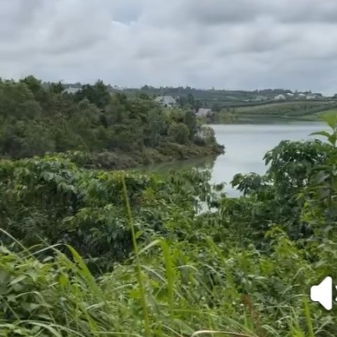 Đất Cát Quế Bảo Lộc 600m² giá 2.2 tỷ - Đầu tư sinh lời ngay!