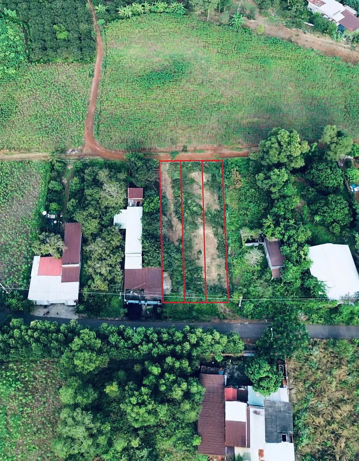 Đất liền kề Long Phước 312m² giá 6.2 tỷ - Đầu tư sinh lời cao!