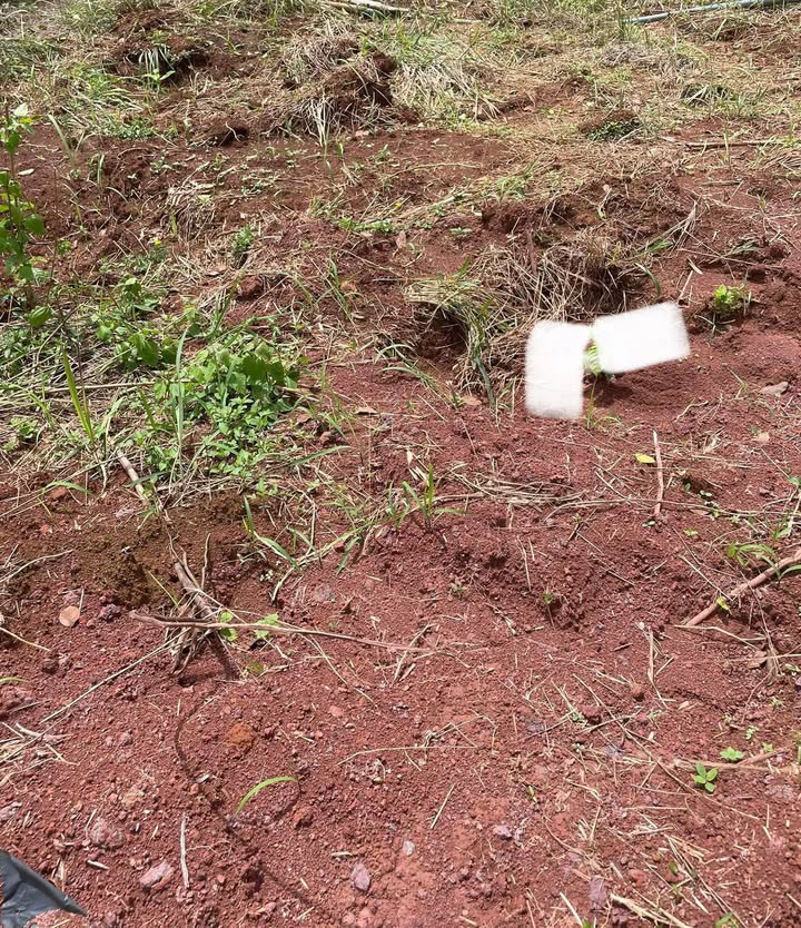 Đất Farm Trường Xuân 1,5ha giá 1.7 tỷ - Cơ hội đầu tư tuyệt vời!