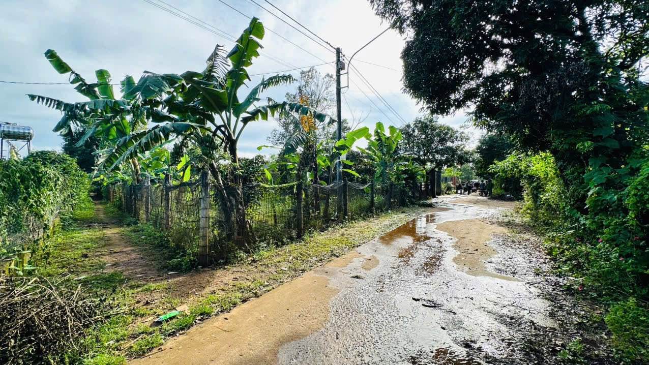 Đất thổ cư 1350m² Tôn Đức Thắng, Pleiku - Giá chỉ 600 triệu!