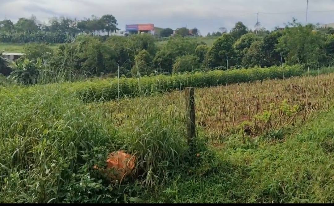 Đất nền 2,5 sào tại thị trấn Ia Kha, huyện Ia Grai giá chỉ 500 triệu - Đầu tư sinh lời ngay!