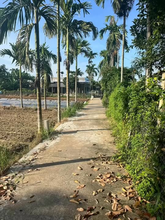 Đất thổ cư thôn Điện An 2, Nghĩa Thương, 100m² - Giá chỉ từ 300 triệu VND!