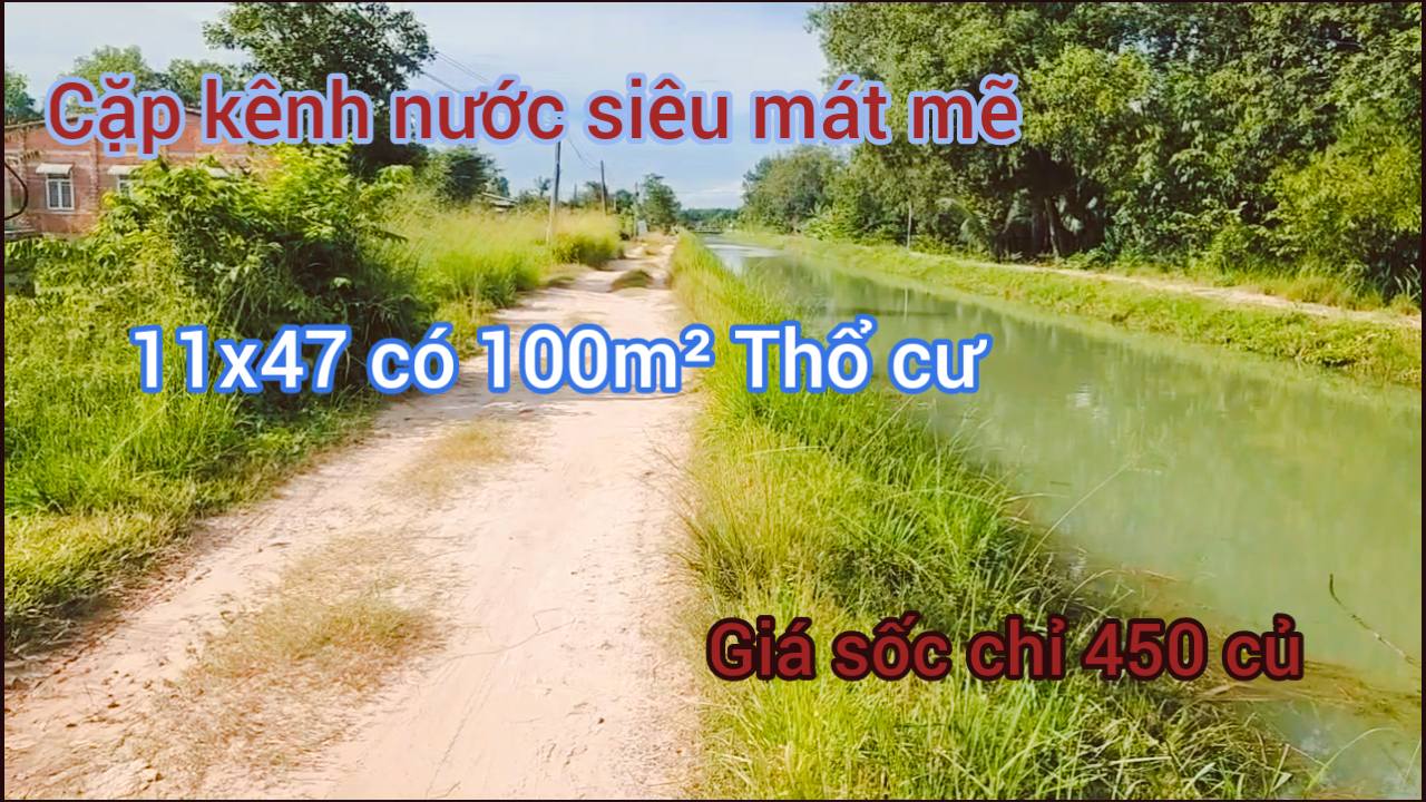 Đất thổ cư 517m² tại Ấp Xóm Tháp, Tây Ninh - Giá 450 triệu, sẵn xây dựng!