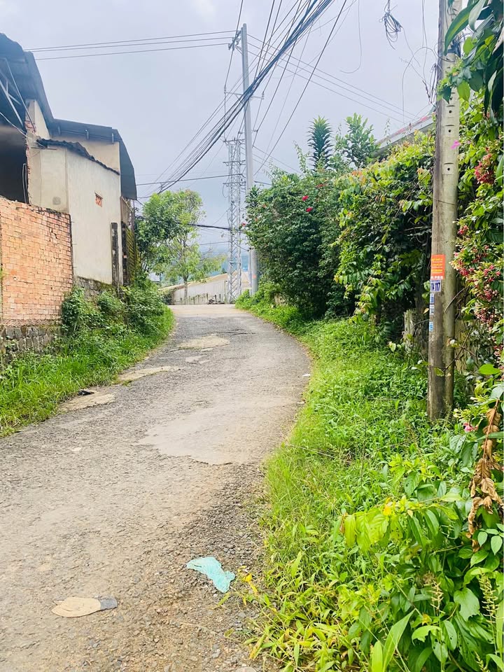 Đất Farm rộng 1,5ha mặt tiền Quốc lộ 55 Lộc Thành - Giá 65 tỷ, thương lượng