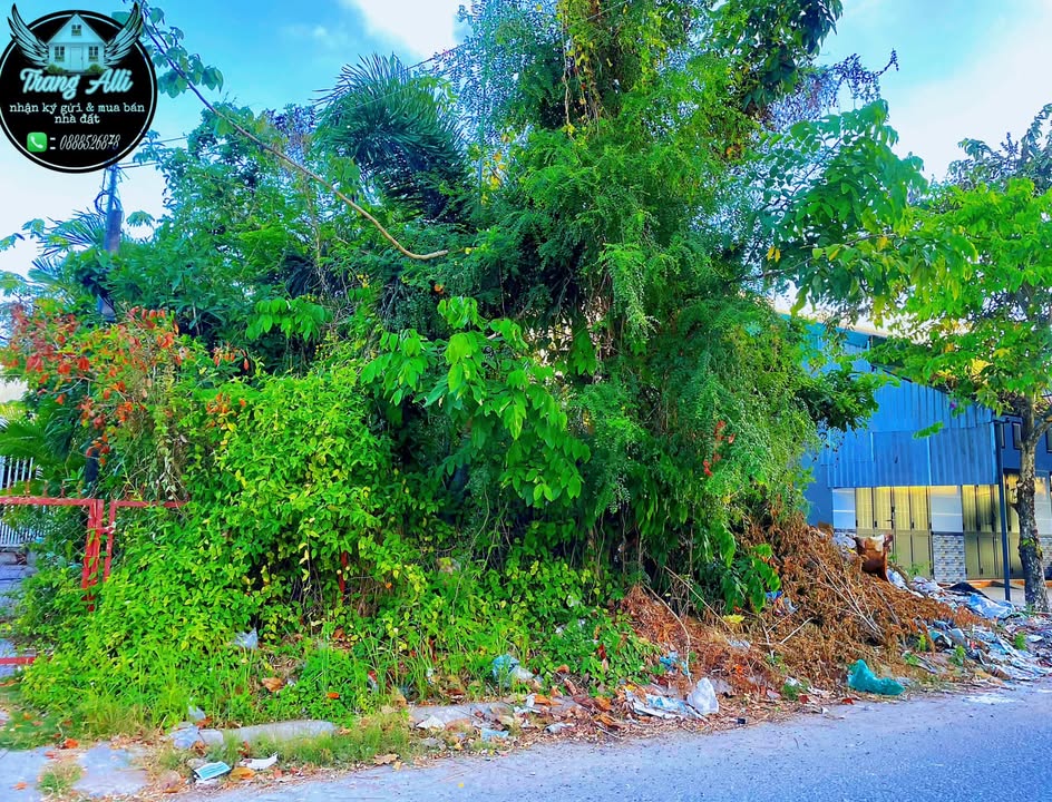 Đất nền Nguyễn Tri Phương 132m² giá 1.3 tỷ - Sổ hồng chính chủ, đầu tư sinh lời!