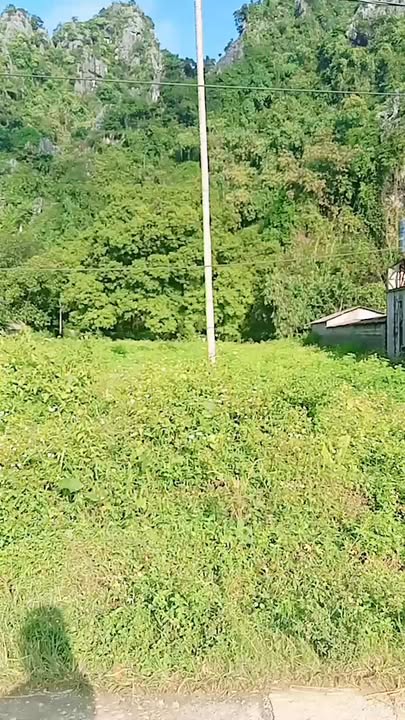 Đất ở và vườn 3200m² tại Liên Sơn, Lương Sơn chỉ 3.2 tỷ - Cơ hội đầu tư tuyệt vời!