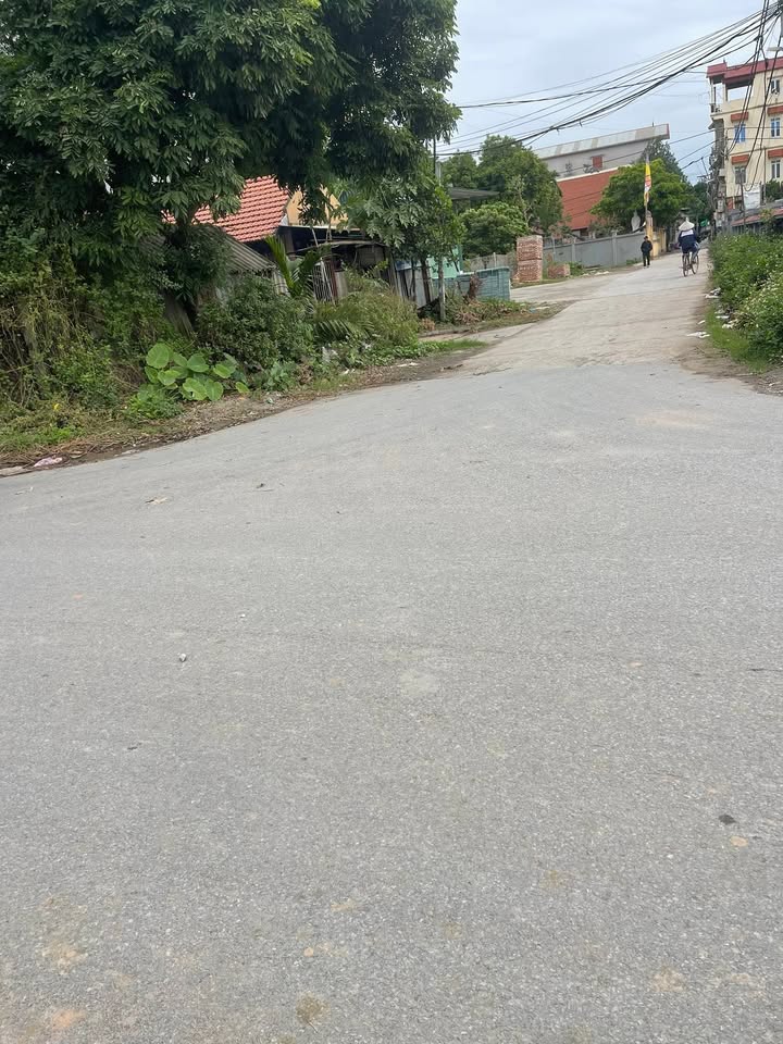 Đất nền Lạc Đạo, Văn Lâm 87m² giá thỏa thuận - Đầu tư sinh lời