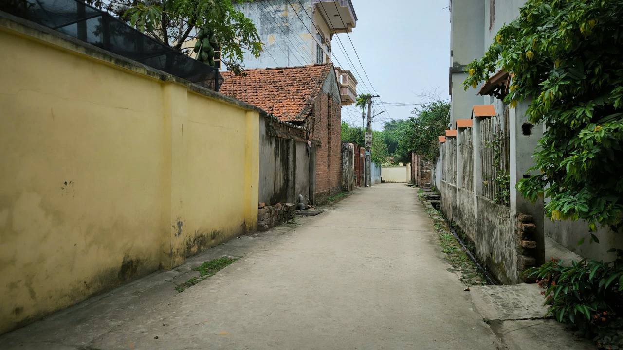 Đất thổ cư 300m² tại Sơn Đông, Sơn Tây - Giá chỉ 100 triệu, chính chủ bán gấp!