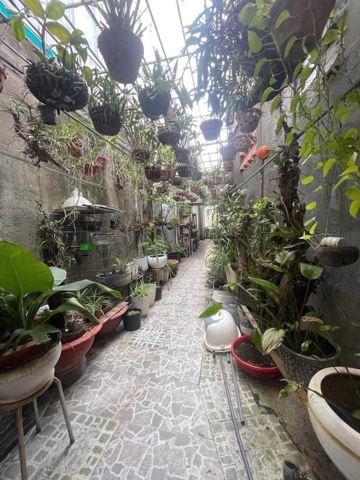 Nhà riêng Nguyễn Văn Đậu, Bình Thạnh 128m² giá 8.6 tỷ - Phù hợp ở hoặc làm văn phòng!