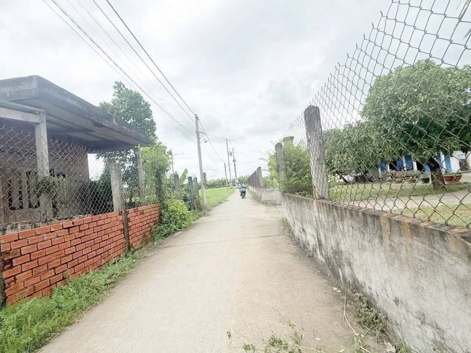 Đất mặt tiền Trần Văn Năm, Tân Trụ, 158m² giá 399 triệu - Cơ hội đầu tư tuyệt vời!