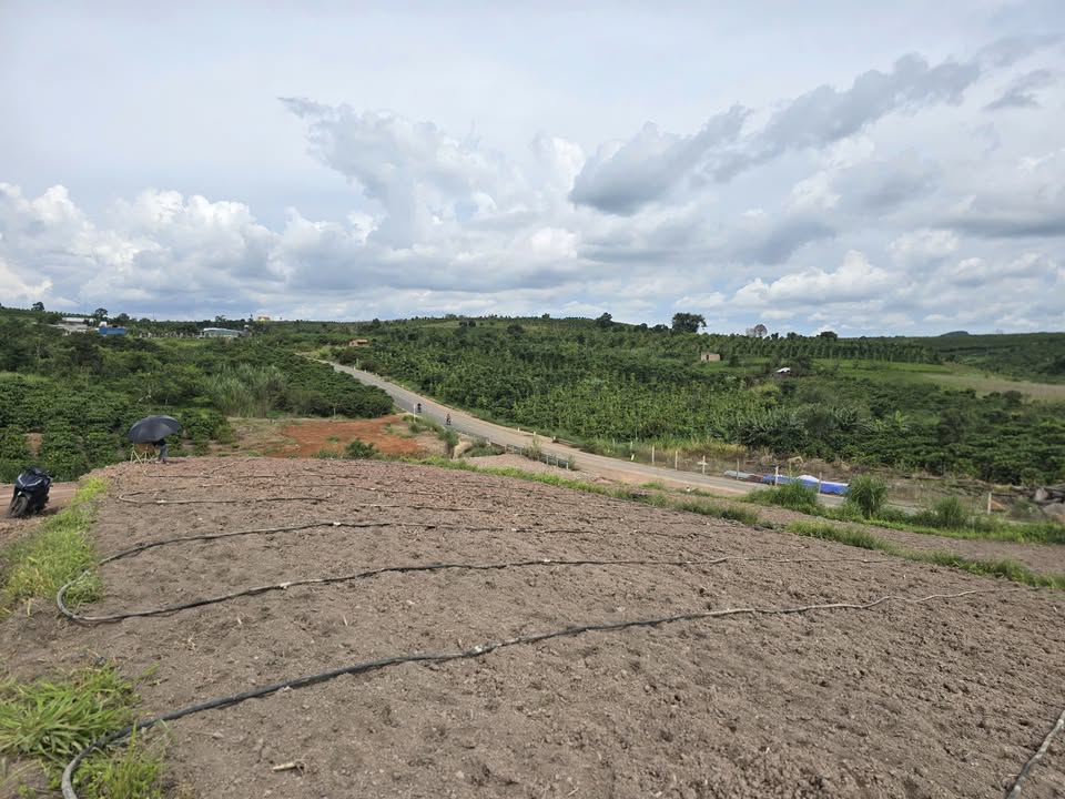 Đất thổ cư 1000m² tại Tân Hà Lâm Hà giá chỉ 630 triệu - Cơ hội đầu tư hấp dẫn!