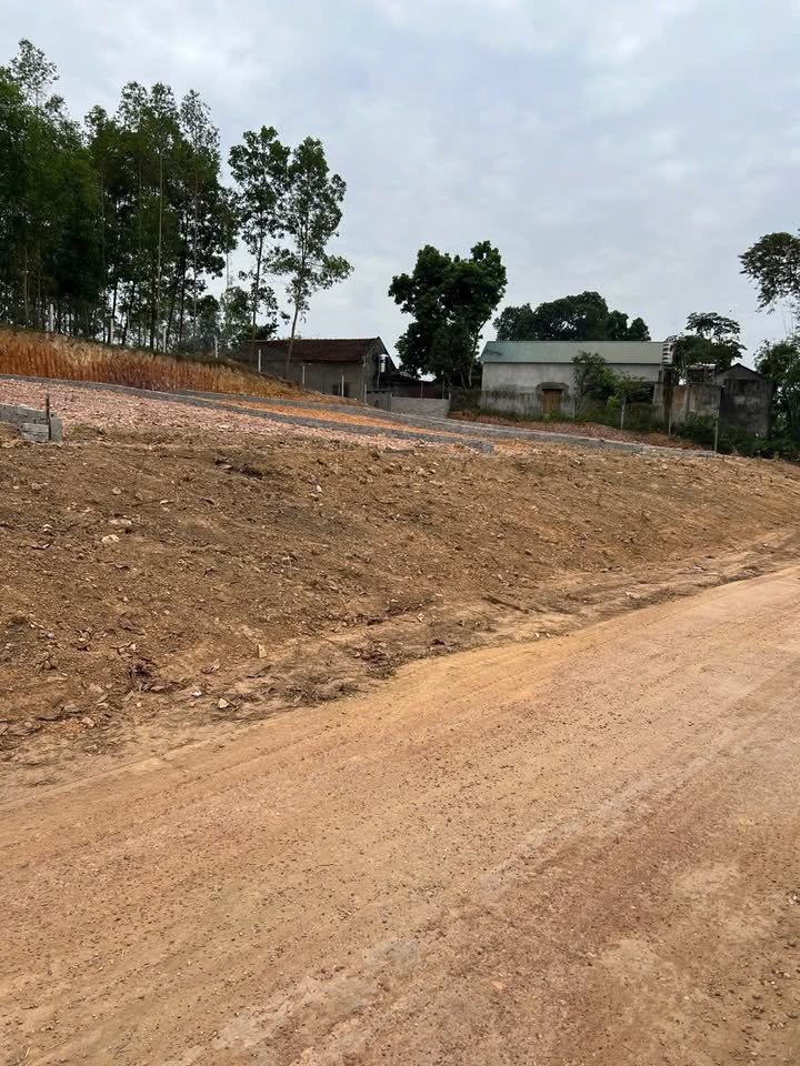 Đất nền xã Tân Thành, huyện Phú Bình 220m² giá thỏa thuận - Chính chủ bán gấp!