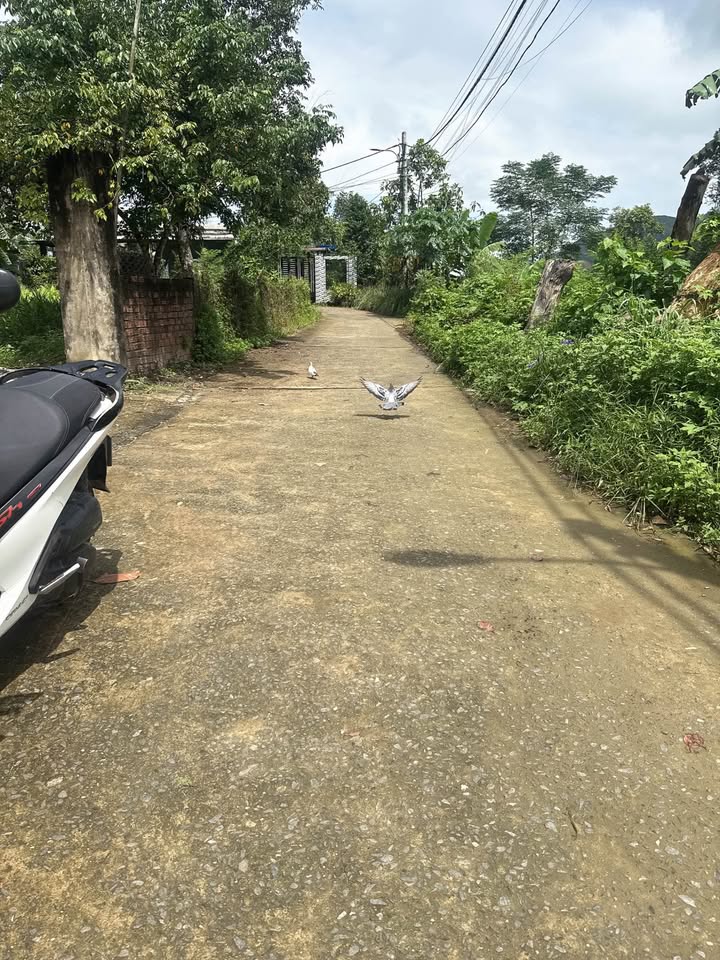 Đất nền Hòa Sơn Đà Nẵng 171m² giá 1.3 tỷ - Vị trí đắc địa, tiện ích đầy đủ!