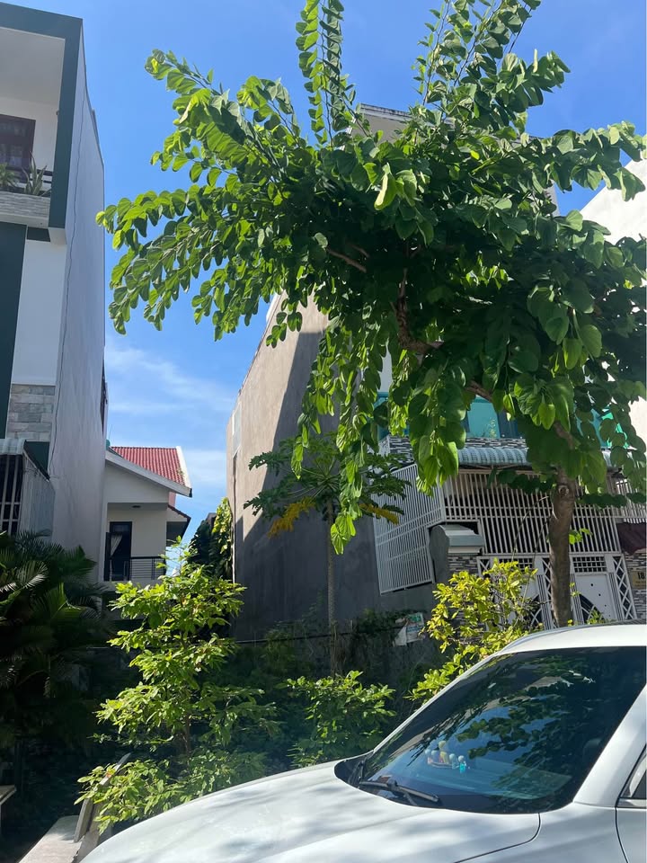 Đất thổ cư 100m² Đinh Lễ, Phan Thiết giá 3.35 tỷ - Khu dân trí cao!