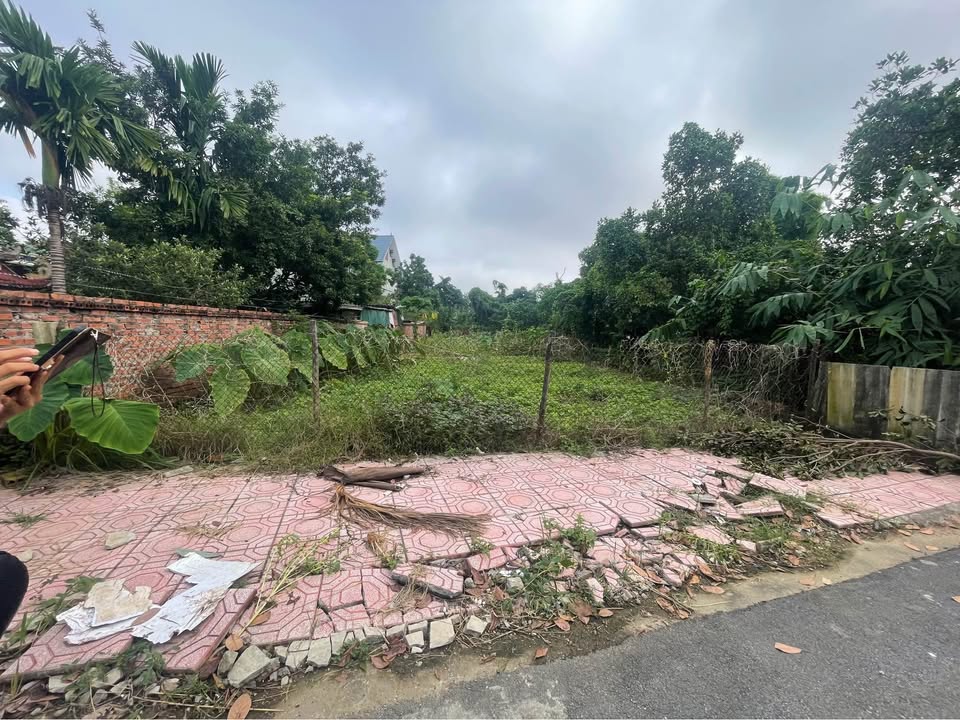 Đất nền 404m² tại xã Phú Cát, Quốc Oai - Tiềm năng đầu tư lớn!