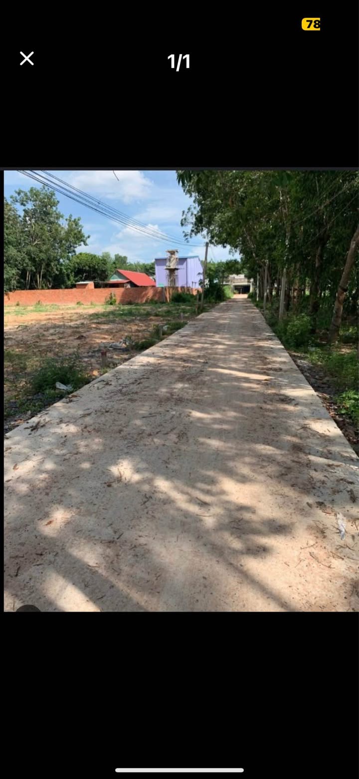 Đất nghĩa trang 260m² tại Đồng Hòa, Kiến An - Giá chỉ 260 triệu VND!