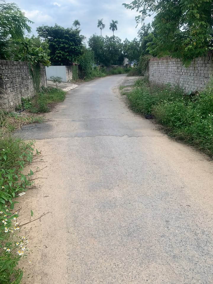 Đất nền Kỳ Sơn Thủy Nguyên 100m² giá chỉ 700 triệu - Không lỗi nhỏ, chính chủ bán!