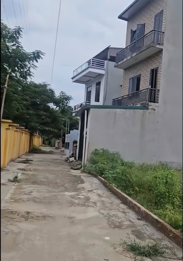 Đất thổ cư Thôn Cẩm, Nông Trang 99m² giá 1 tỷ - Cơ hội đầu tư tuyệt vời!