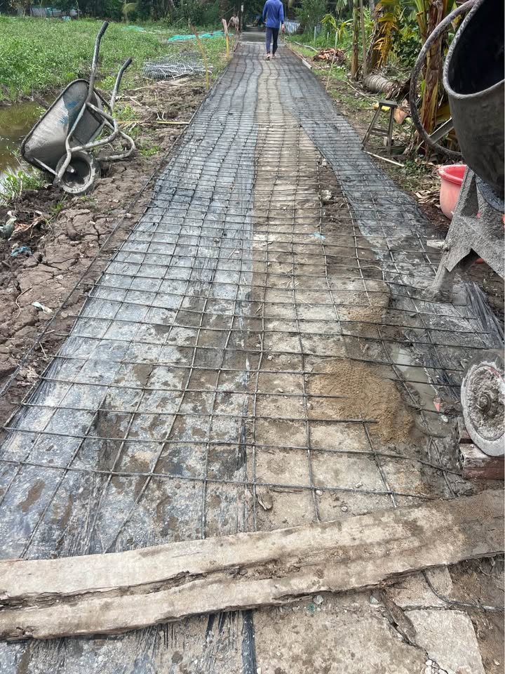 Đất nền Tân Long Hội 1790m² giá 500 triệu - Cơ hội đầu tư tuyệt vời!