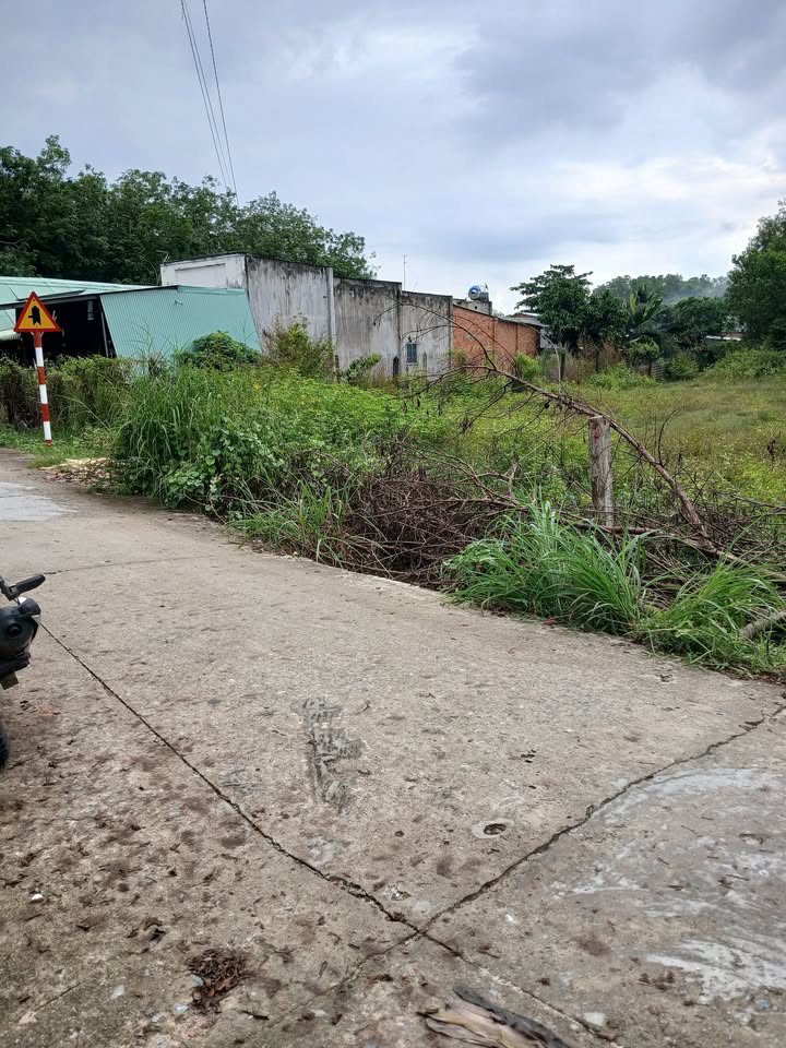 Đất nền Gò Dầu Tây Ninh 390m² giá 1.65 tỷ - Mặt tiền đường bê tông ô tô vào tận đất!