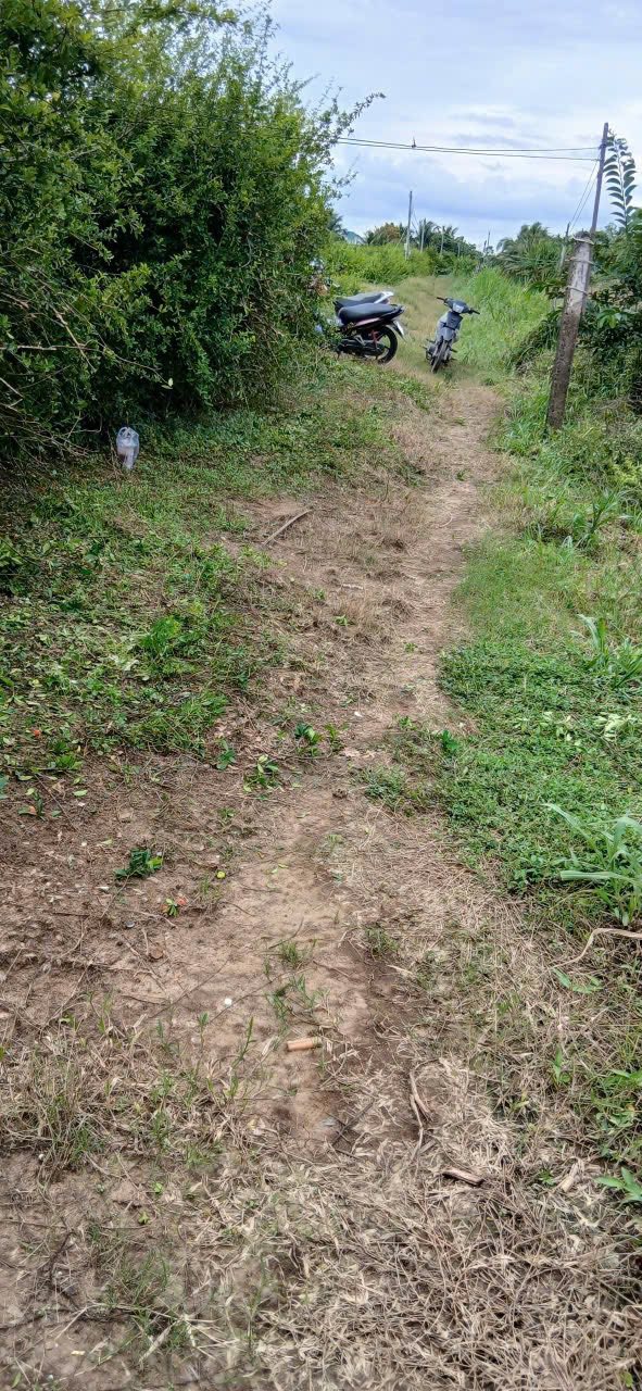 Đất vườn Kiểng Phước Gò Công Đông 395m² giá 230 triệu - Đầu tư sinh lời ngay!