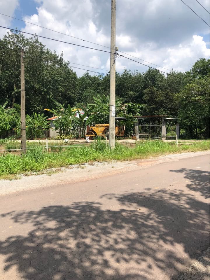 Đất nền liền kề đường Tân Lập Đồng Phú 200m² giá 500 triệu - Cơ hội đầu tư hấp dẫn!