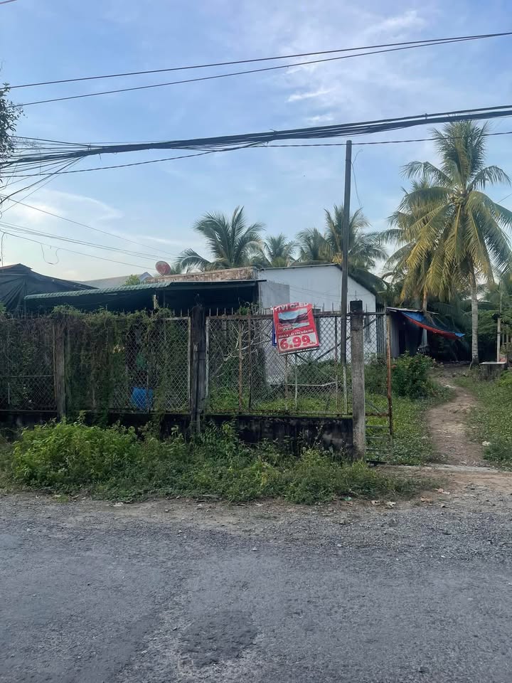 Đất mặt tiền đường Ấp Bắc, Nhị Mỹ, 1200m² giá 5,2 tỷ - Đầu tư lãi ngay!