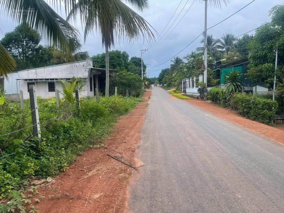 Đất nền Diên Xuân 205m² giá chỉ 499 triệu - Cơ hội đầu tư tuyệt vời!