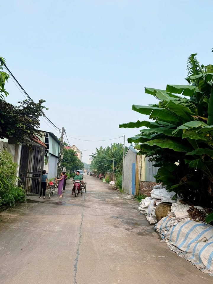 Đất dịch vụ xã Vĩnh Phú 100m² giá cực tốt - Cơ hội đầu tư hấp dẫn!