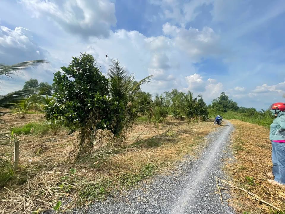 Đất thổ vườn 2800m² xã Thạnh Hòa - View sông Vàm Cỏ - Giá 5.09 tỷ