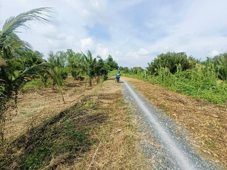 Đất thổ vườn 2800m² tại Thạnh Hoà, Bến Lức - View sông, giá chỉ 5.09 tỷ!