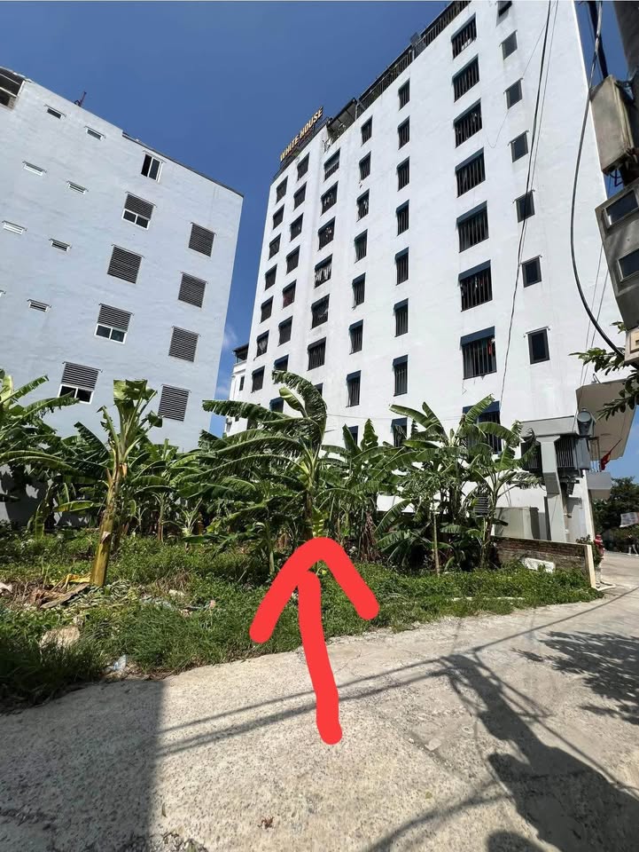 Đất thổ cư 50m² tại Xuân Khanh, Sơn Tây - Giá chỉ 1.6 tỷ, bán gấp!