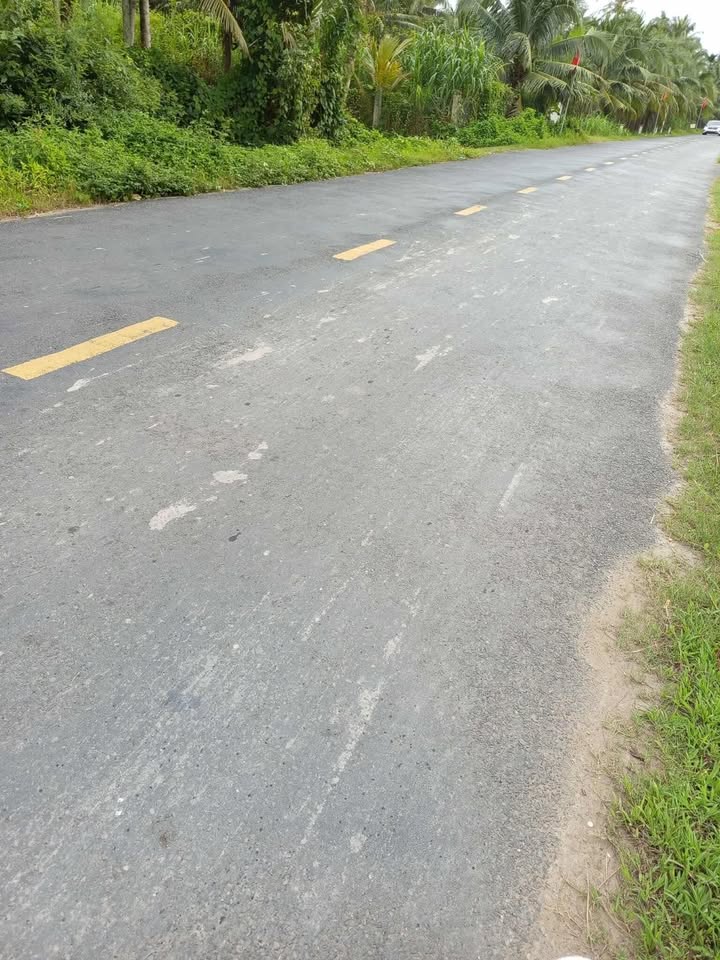 Đất trồng dừa 1400m² Tân Thanh, Giồng Trôm giá 1.5 tỷ - Đầu tư sinh lời ngay!