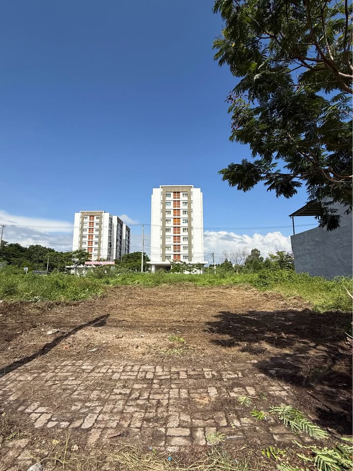 Đất mặt tiền Hòa Phú 11, Liên Chiểu, Đà Nẵng, 100m² - Giá chỉ 5.19 tỷ, thương lượng ngay!