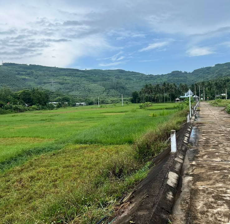 Đất tái định cư Cần Lương, xã An Dân, 200m² chỉ 600 triệu - Hướng Tây mát mẻ!